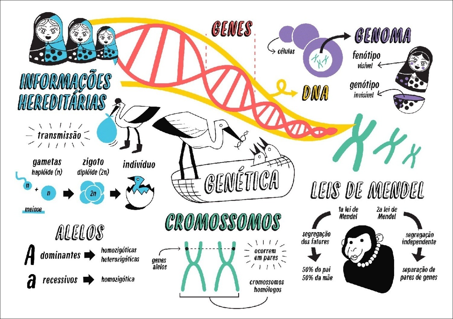 Conceitos de Genética